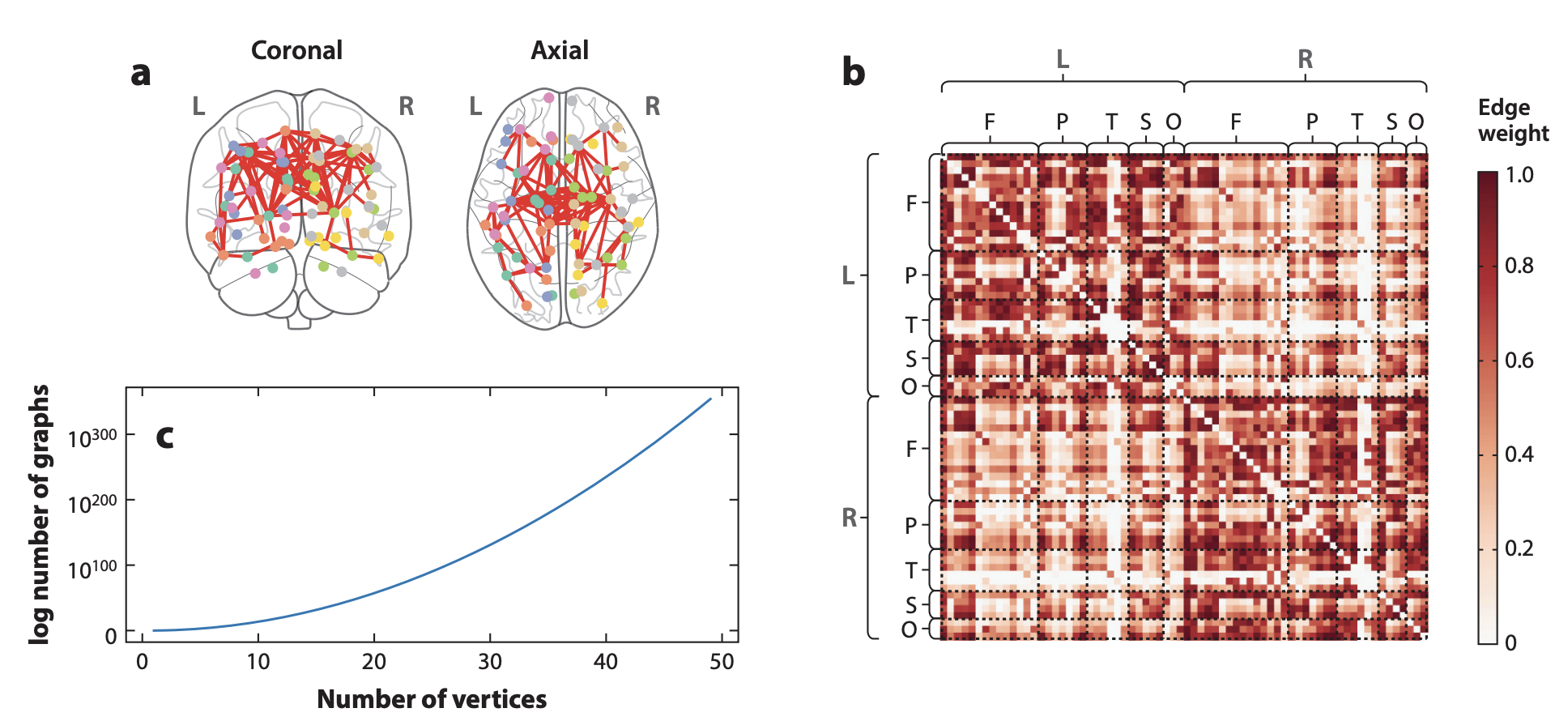 stat_connectome